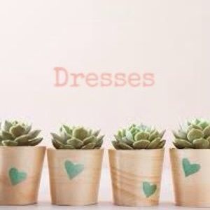 🌿 DRESSES COLLECTION 🌿